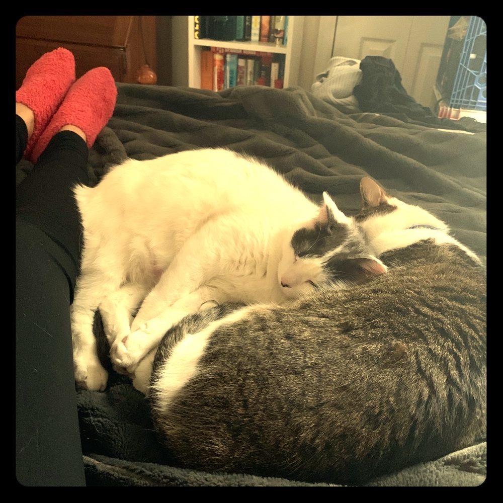 Meet your Posher, Celeste